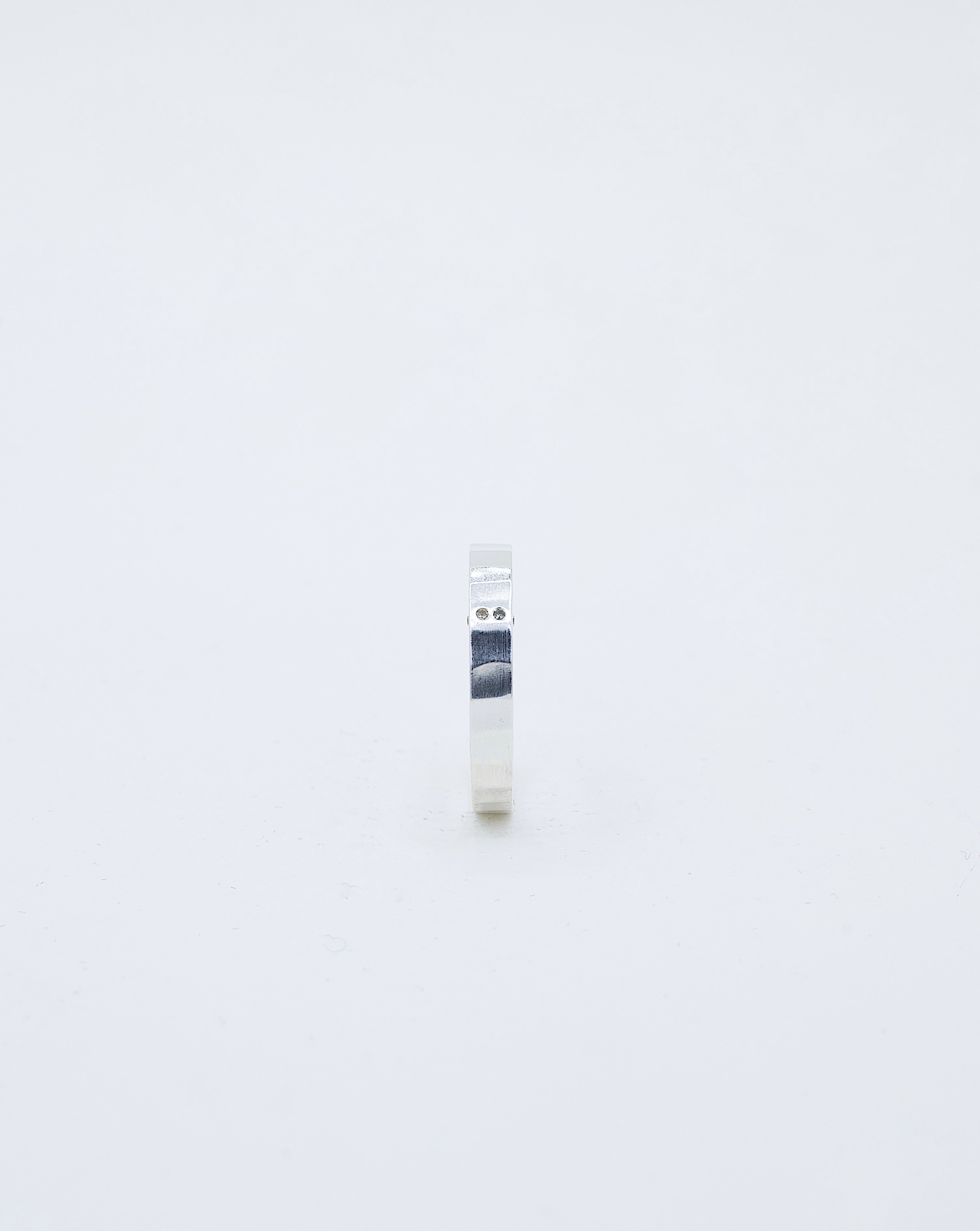 Bague Niwas