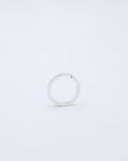 Bague Niwas