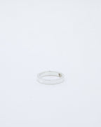 Bague Niwas
