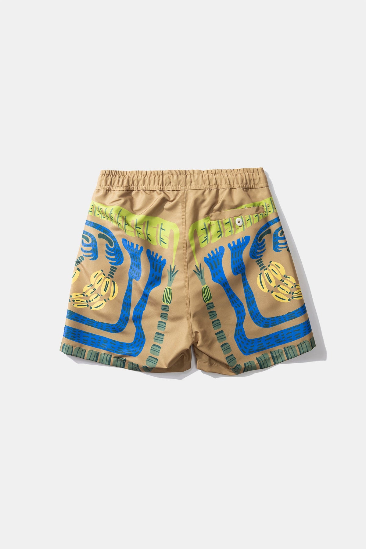 Banana Plain Swimsuit Brown