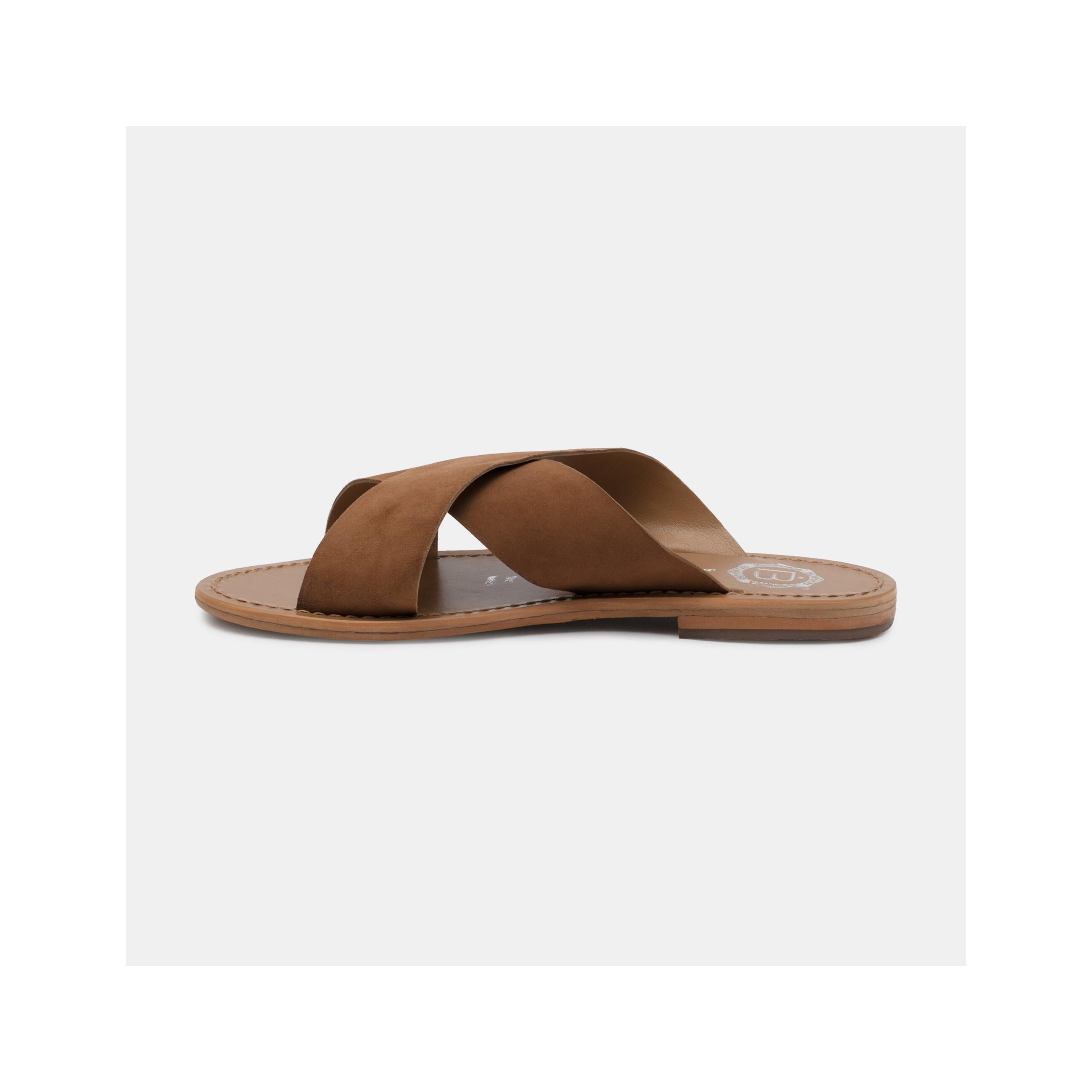 Las Bagatelas - Mules Lima - Camel