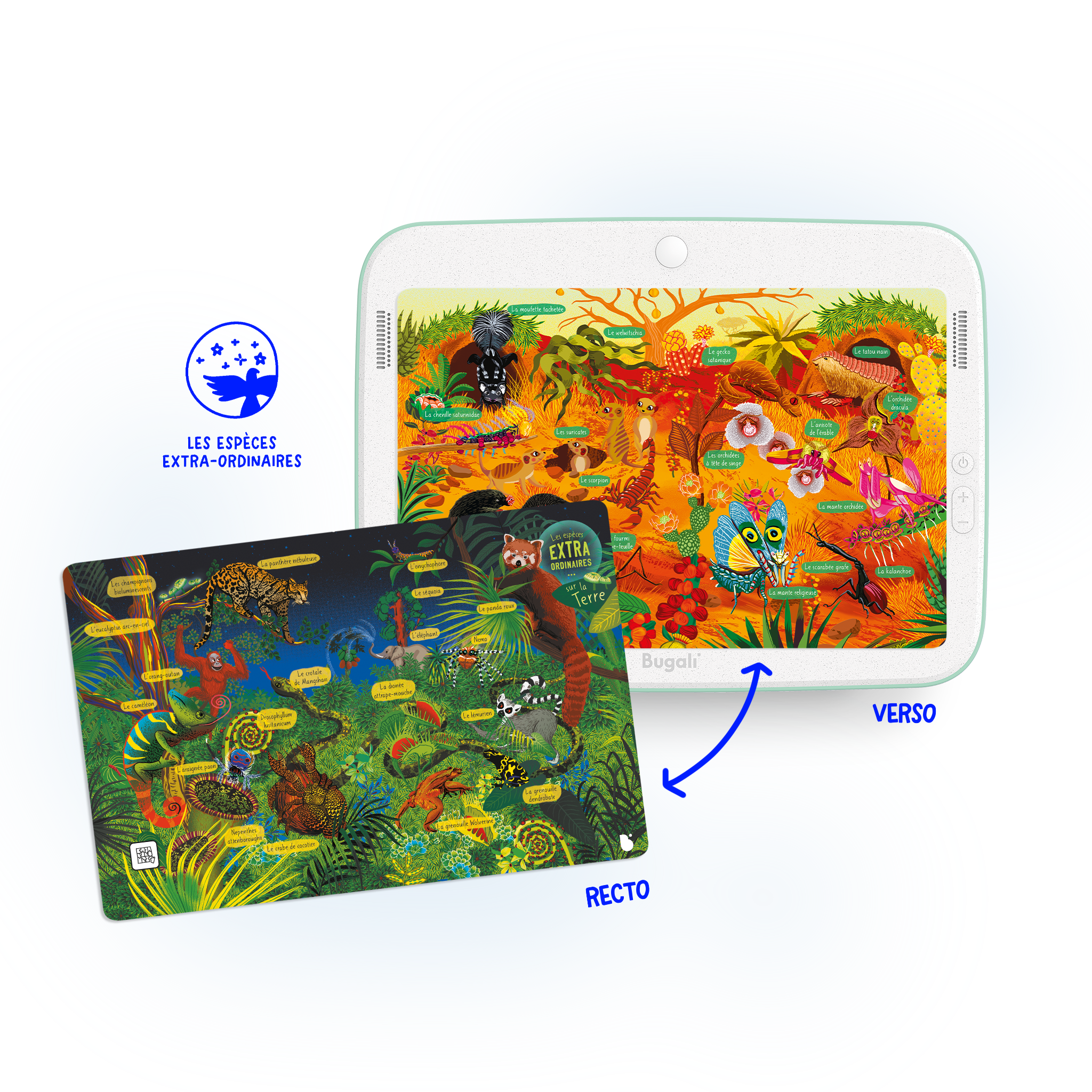 ¡Caja de 5 Tarjetas Zoom Interactivas! (5+)