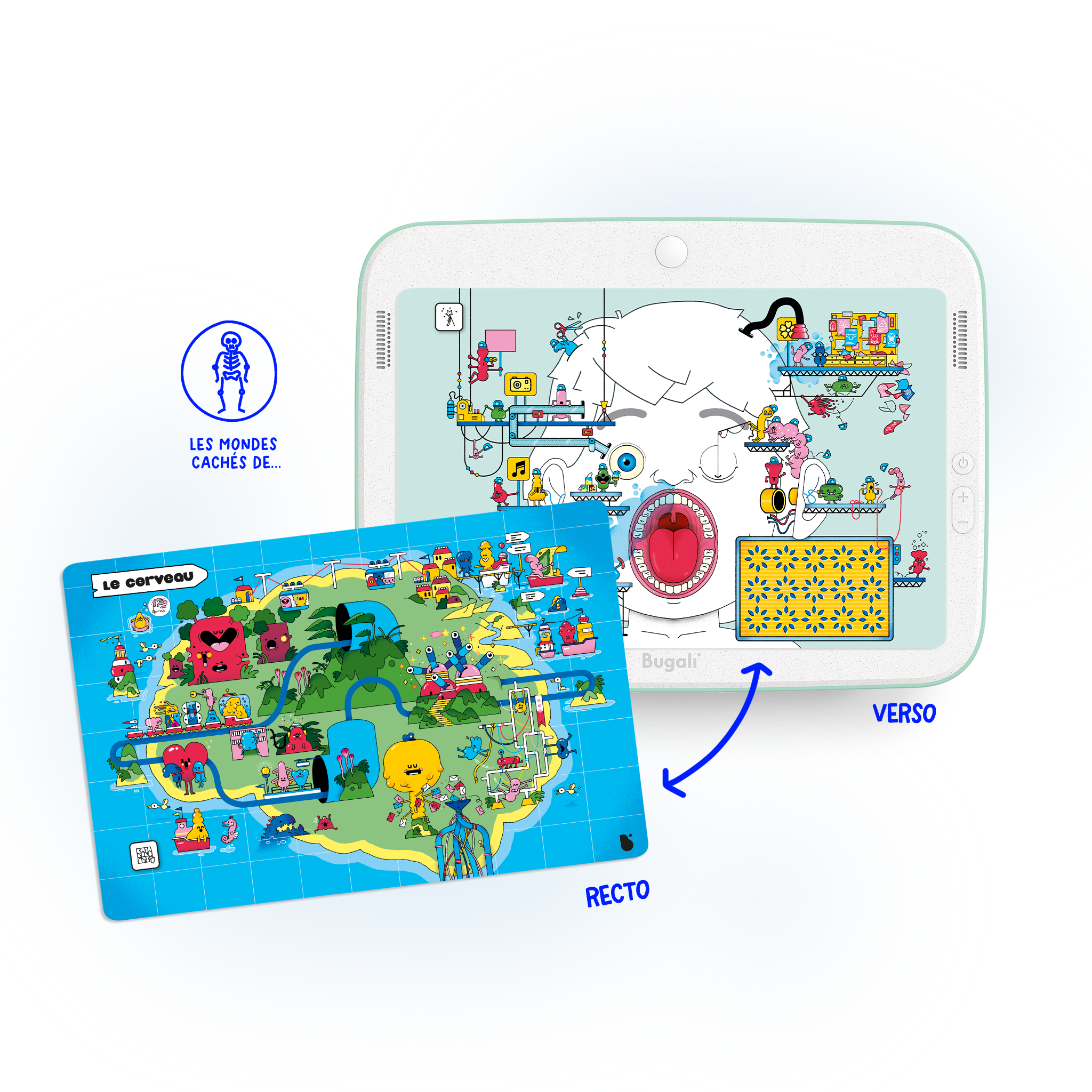 ¡Caja de 5 Tarjetas Zoom Interactivas! (5+)