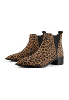 Botines Northern Star - Lion