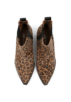 Botines Northern Star - Lion