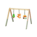 Gimnasio De Actividades Montessori