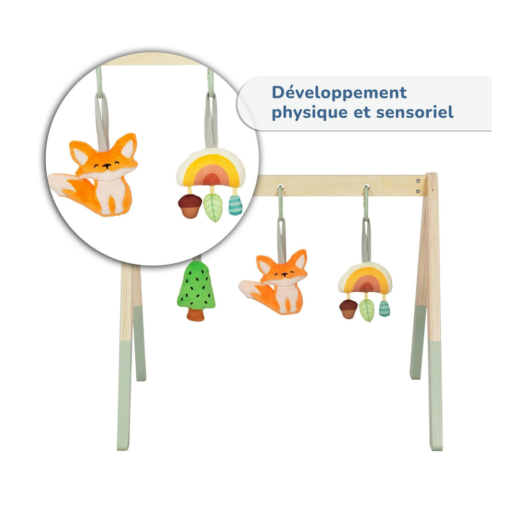 Gimnasio De Actividades Montessori