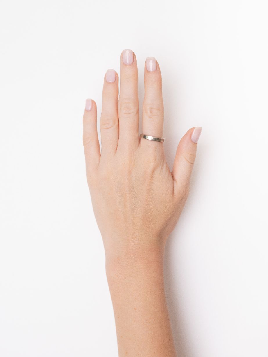 Bague Niwas