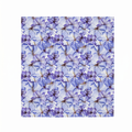 Bandana - Viola