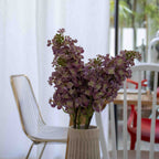 Branche De Lilas Violet