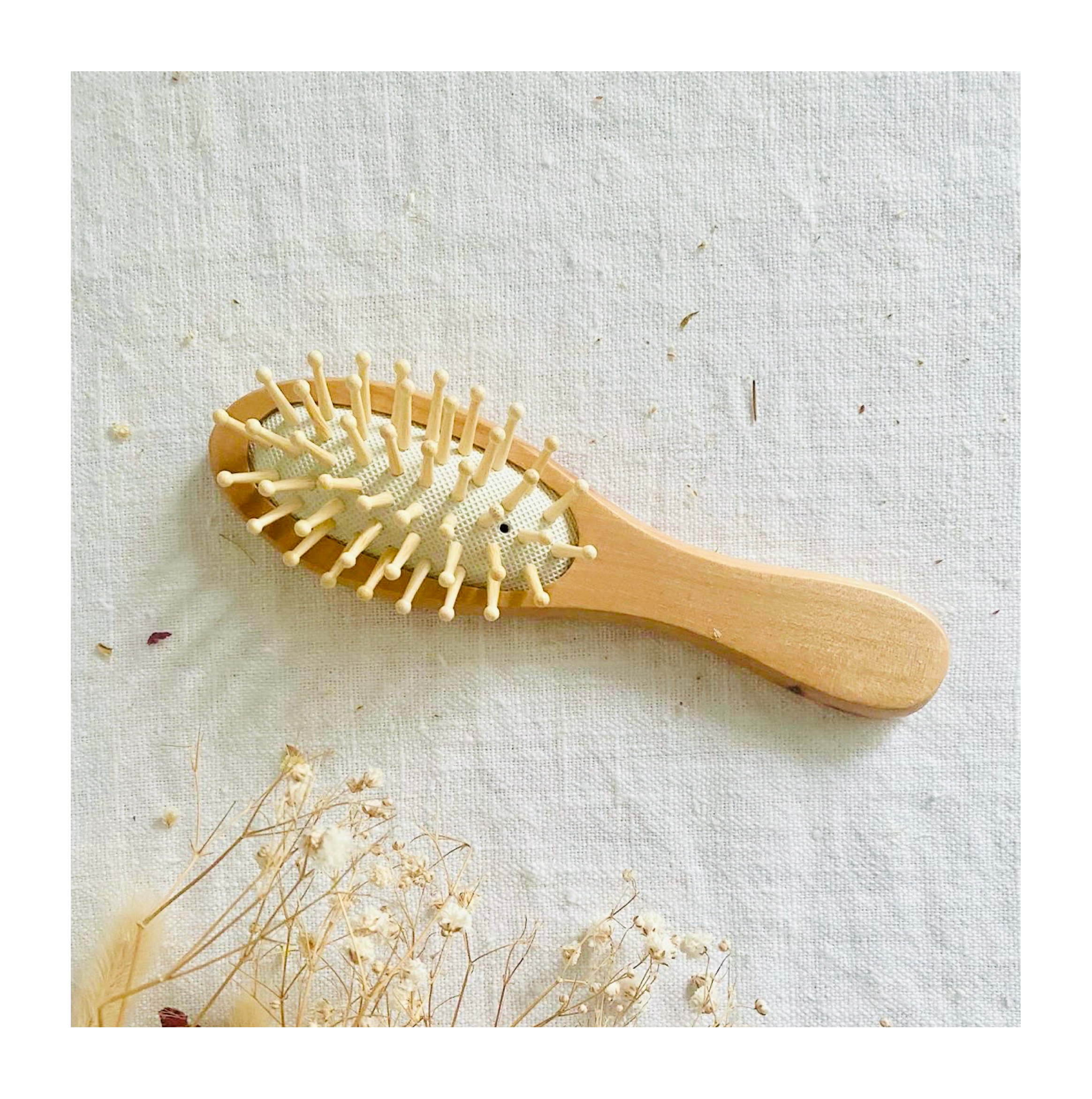 Hugo The Pimple Brush