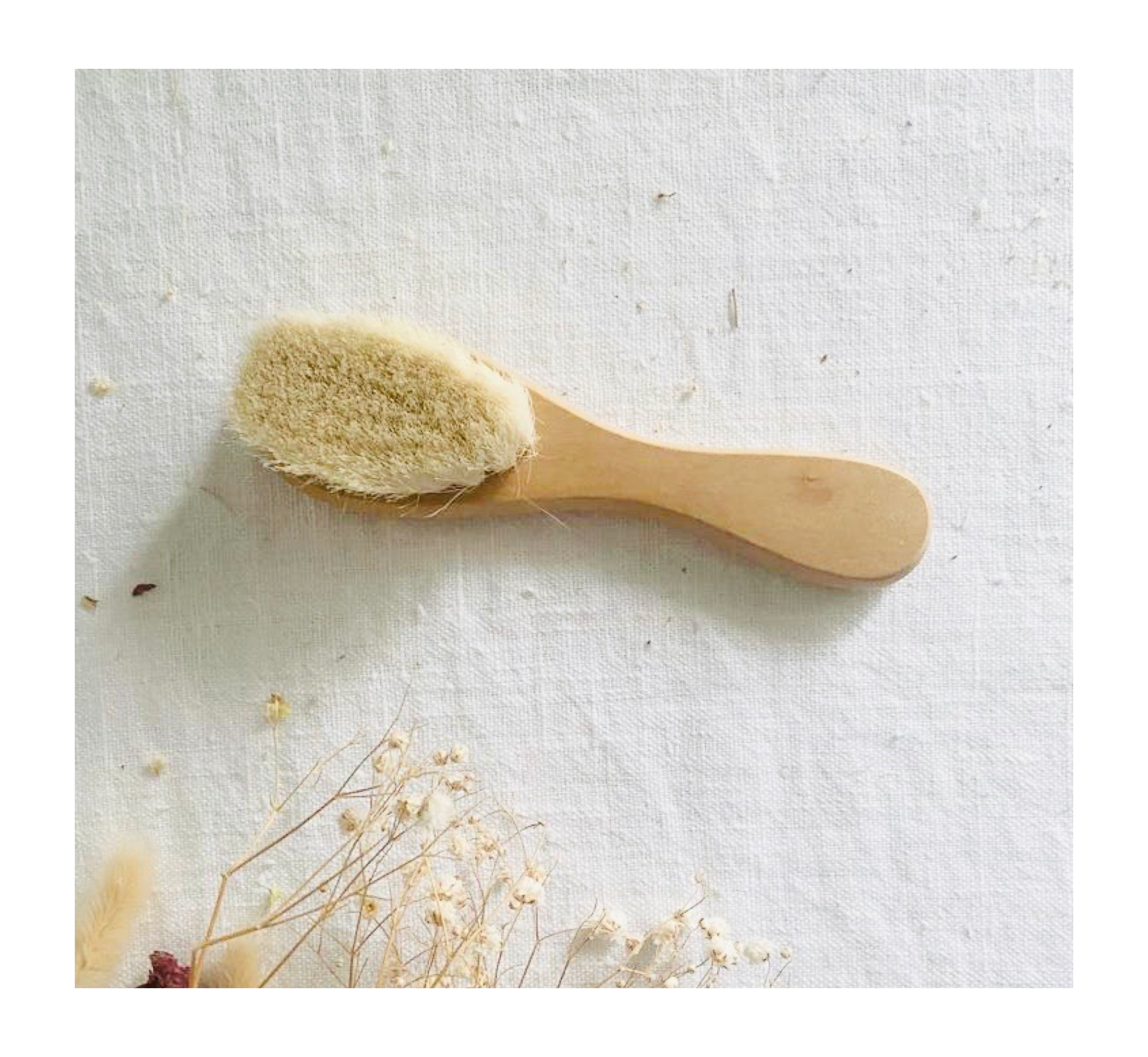 Manual The Bristle Brush