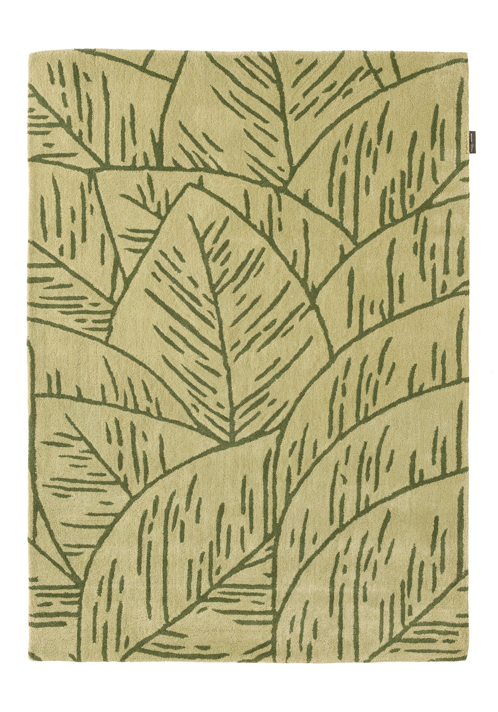 White cedar – Foliage pattern wool rug - green White cedar