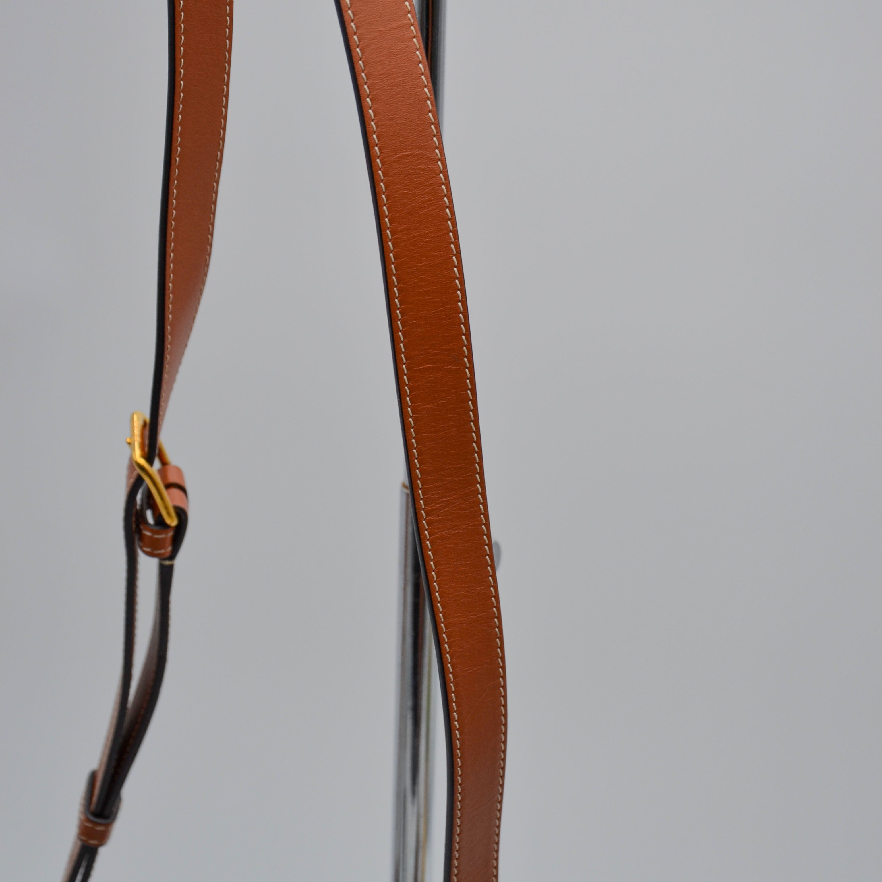Céline Bucket Triomphe