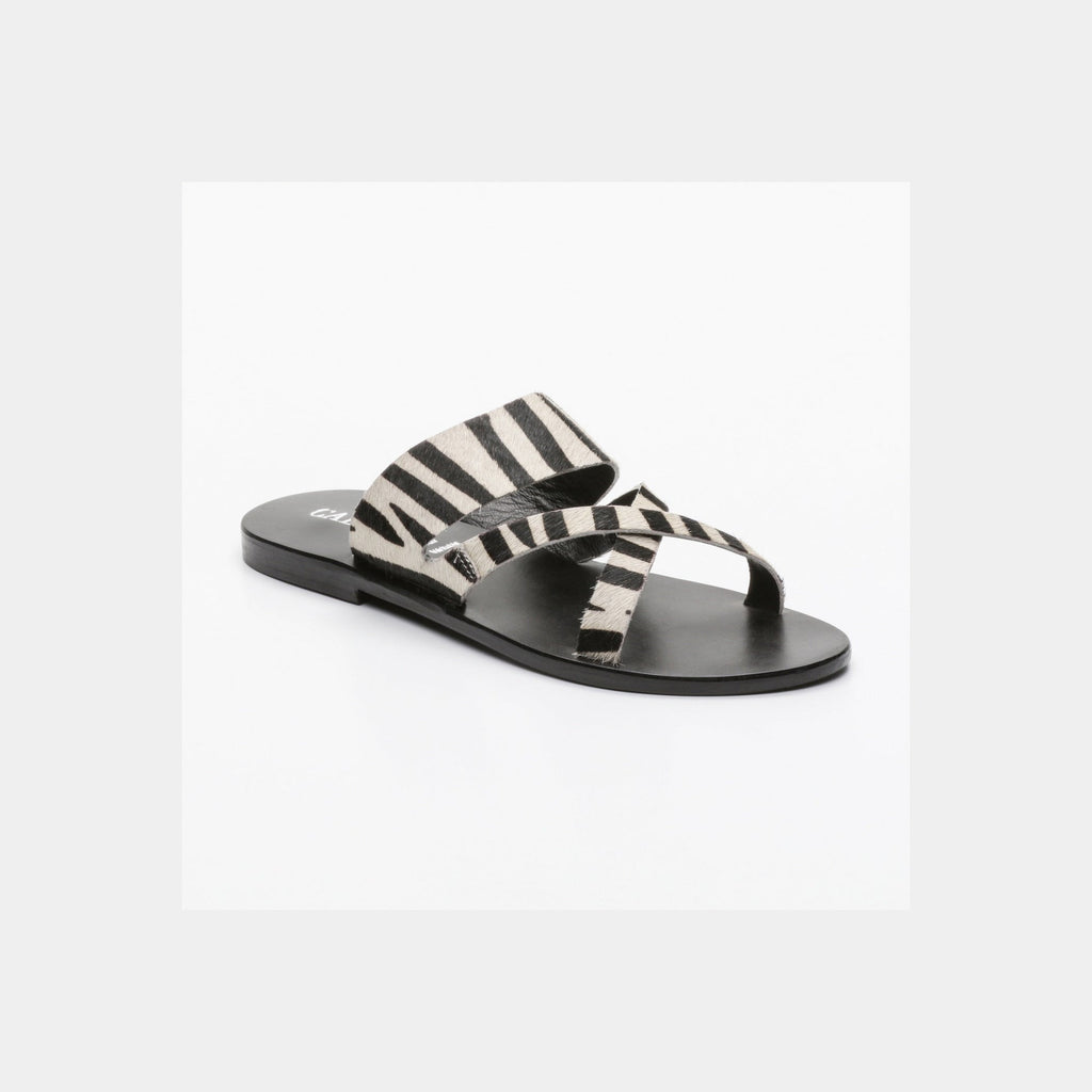 Calank - Mules Esila - Cebra