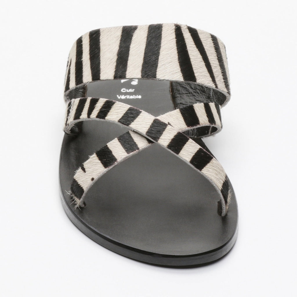 Calank - Mules Esila - Cebra