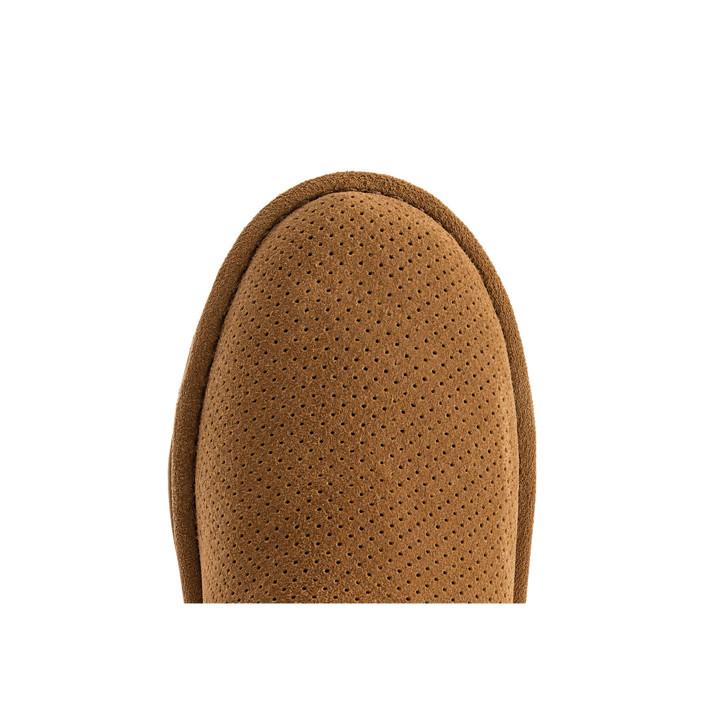 Botte Femme UGG CLASSIC UNLINED MINI PER