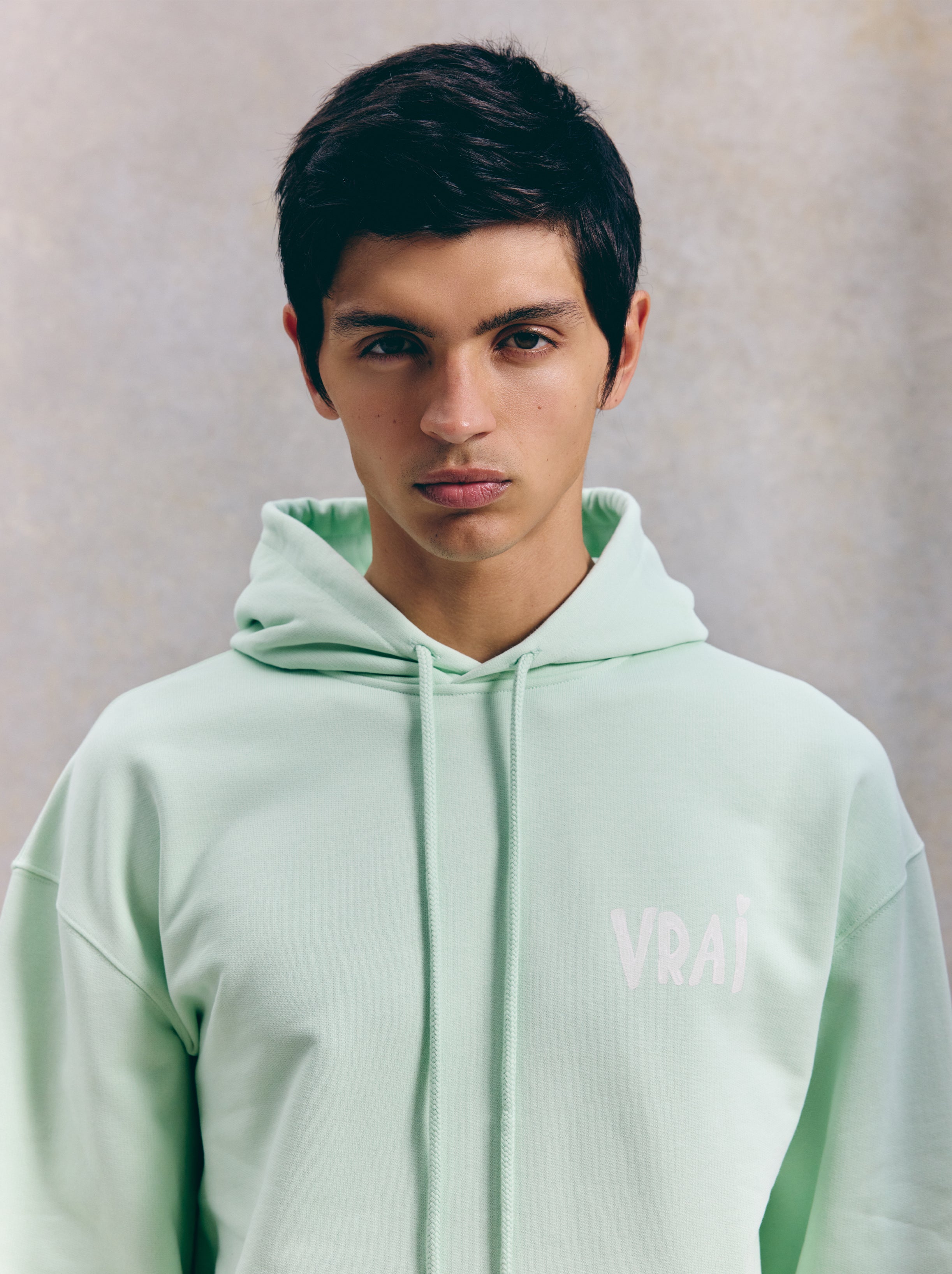 Sweat Capuche Unisexe Fresque Vert D'Eau