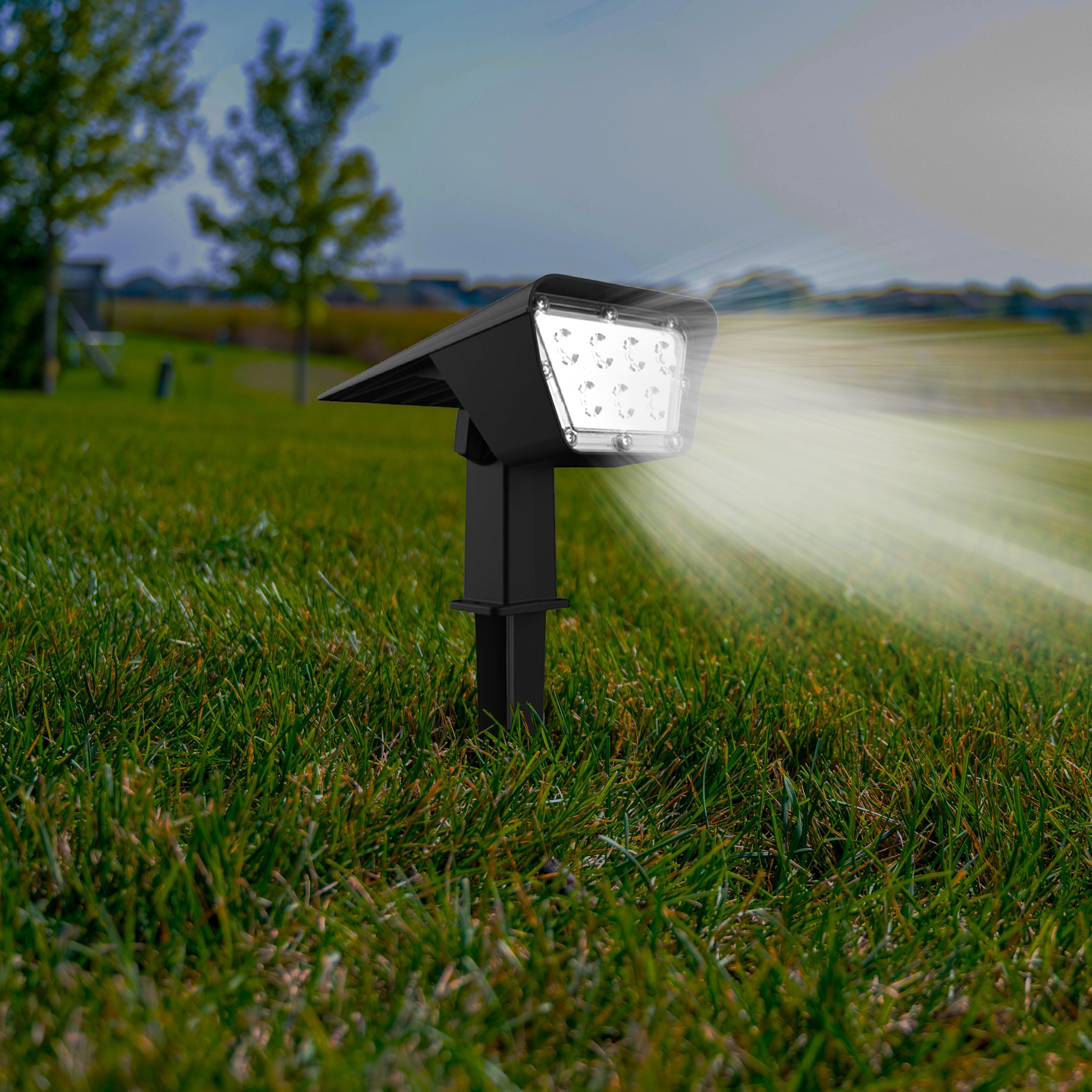 Curtis - Solar Spotlight - Plastic - Black