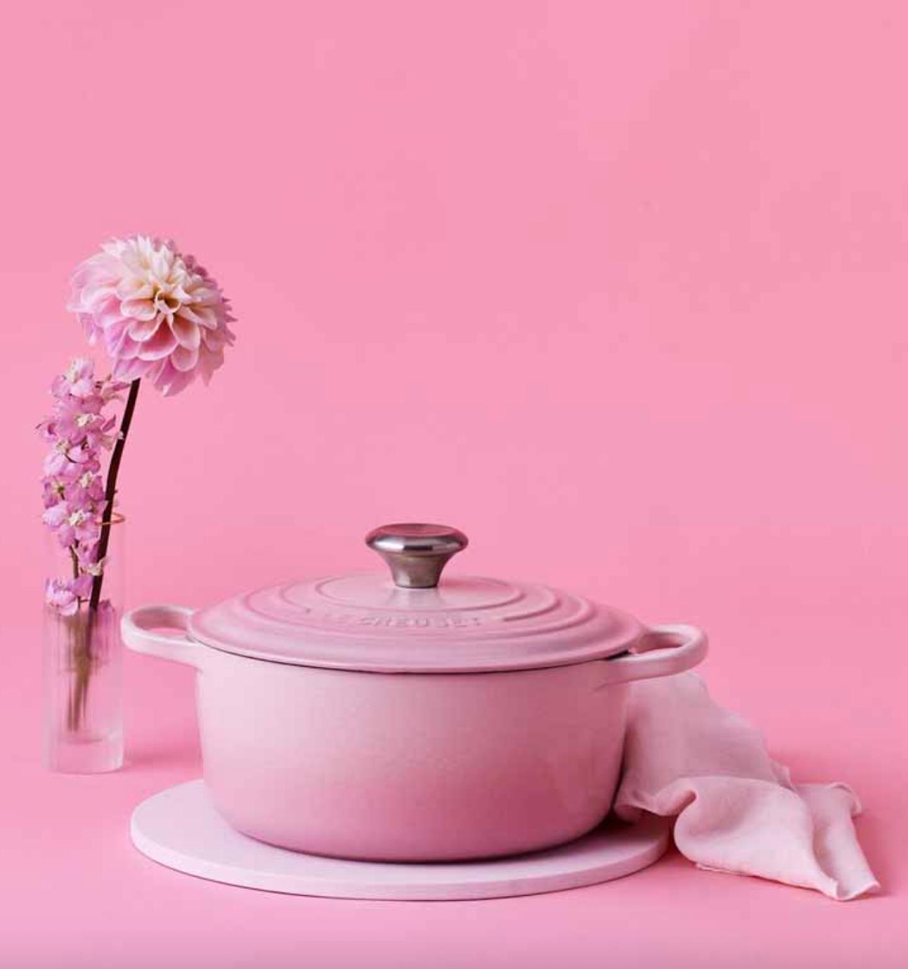 Round Traditional Casserole - Enamelled Cast Iron - 20cm - Shell Pink - Stainless Steel Knob