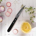 Steak Pizza - Set of 6 Steak Knives - Black