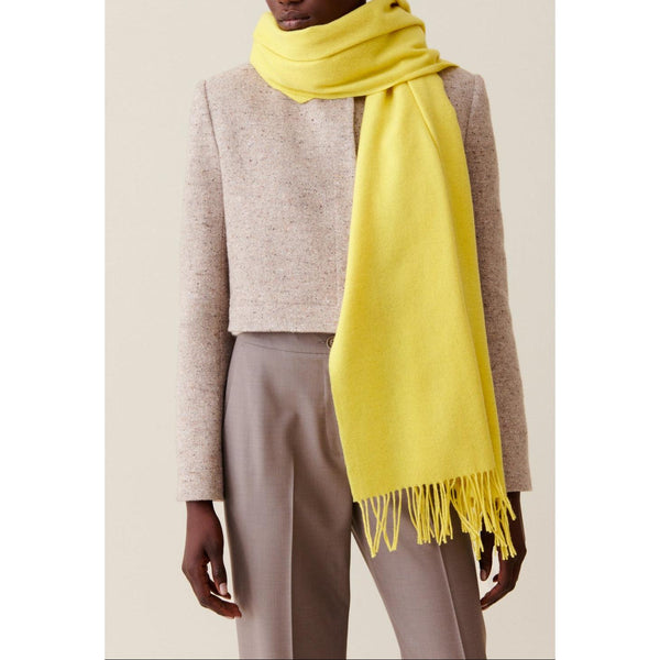 Claudie Pierlot - Fringed Scarf