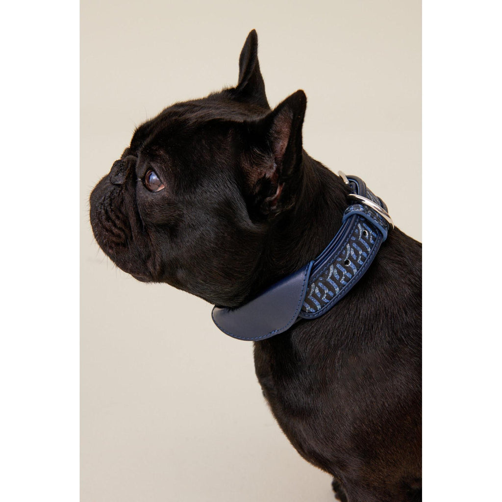 Collier Chien Monogramme Cp