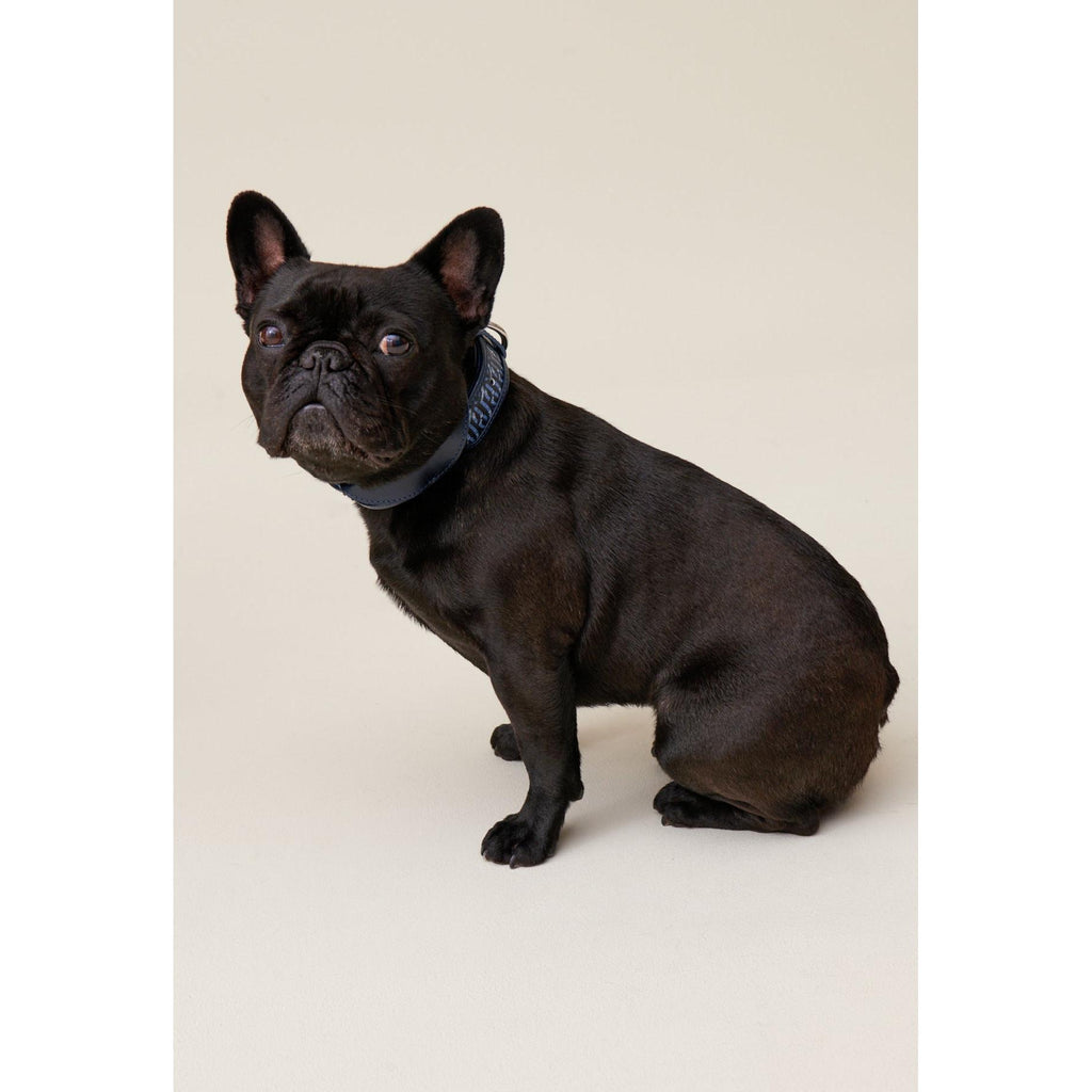 Collier Chien Monogramme Cp