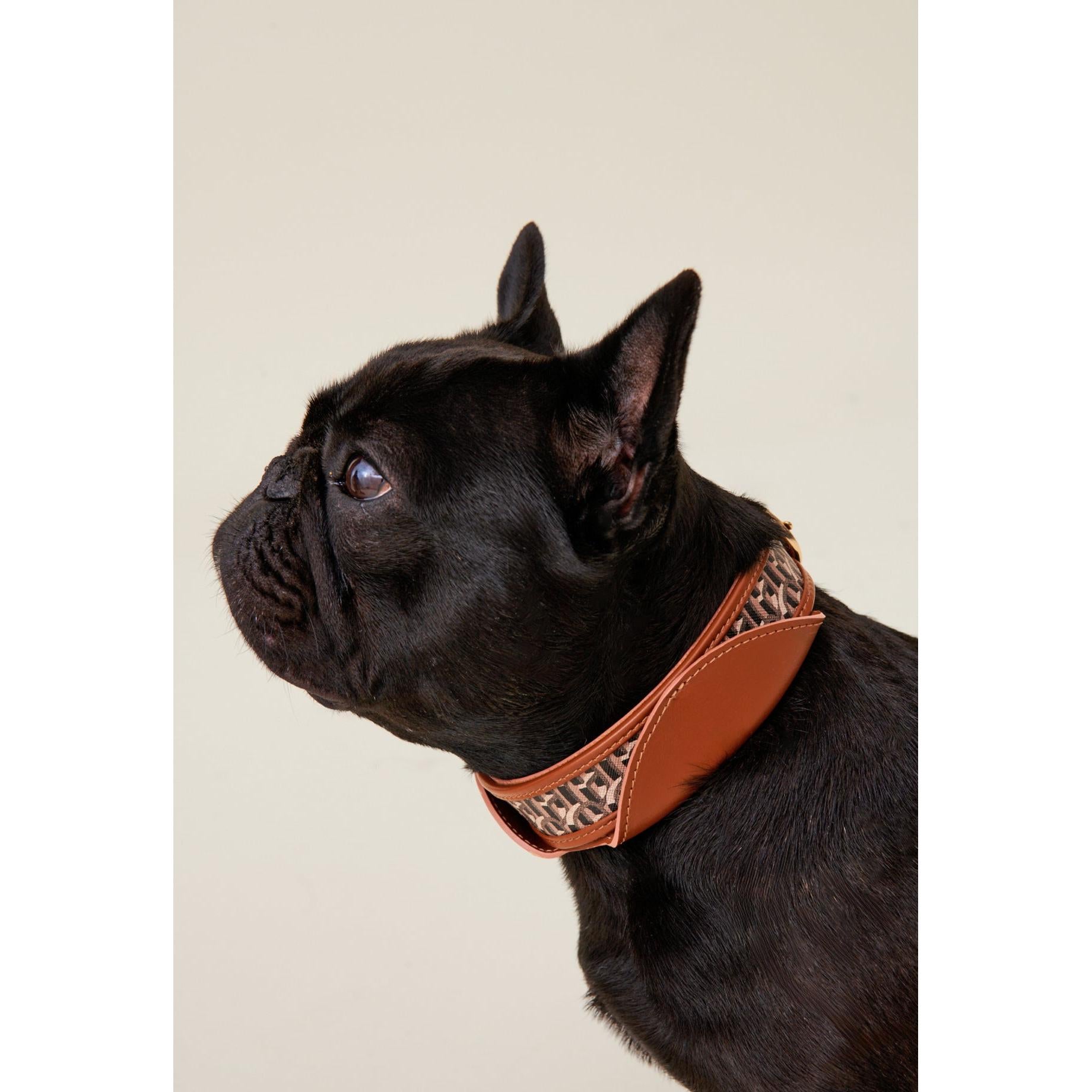 Collier Chien Monogramme Cp