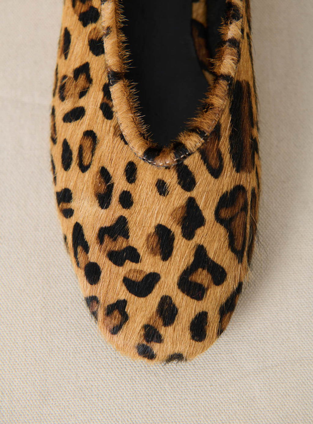 Bailarinas Coralie - Leopardo
