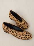 Bailarinas Coralie - Leopardo