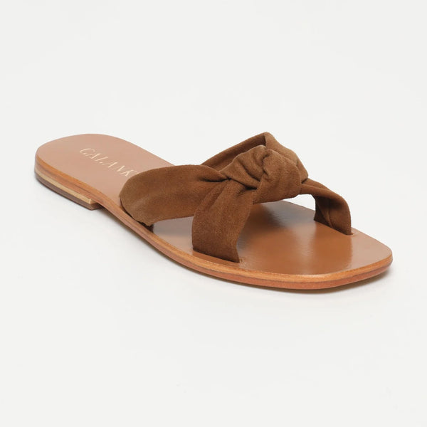 Dorreh Mules - Camel