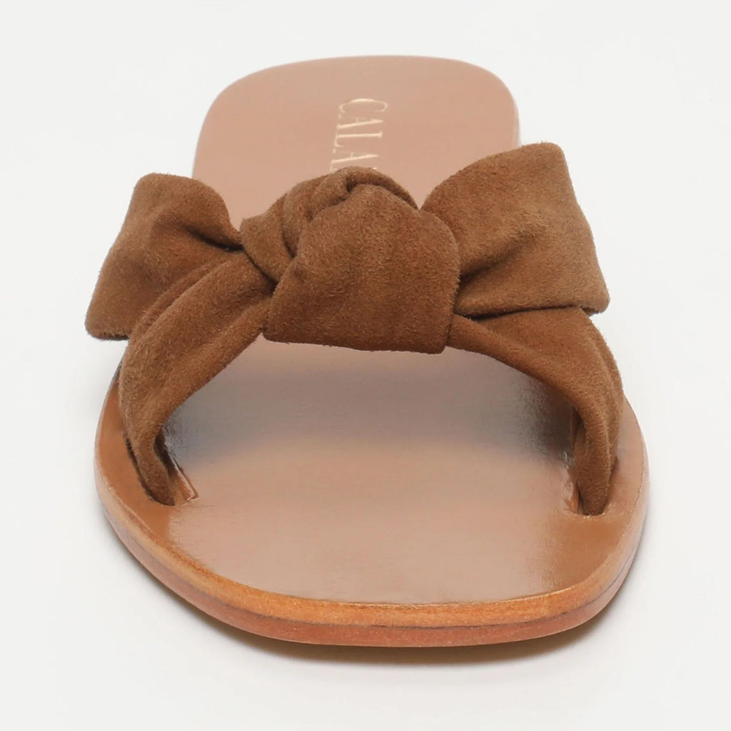 Mules Dorreh - Camel