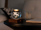 Lampka Amber Crystal – Wyścigi konne