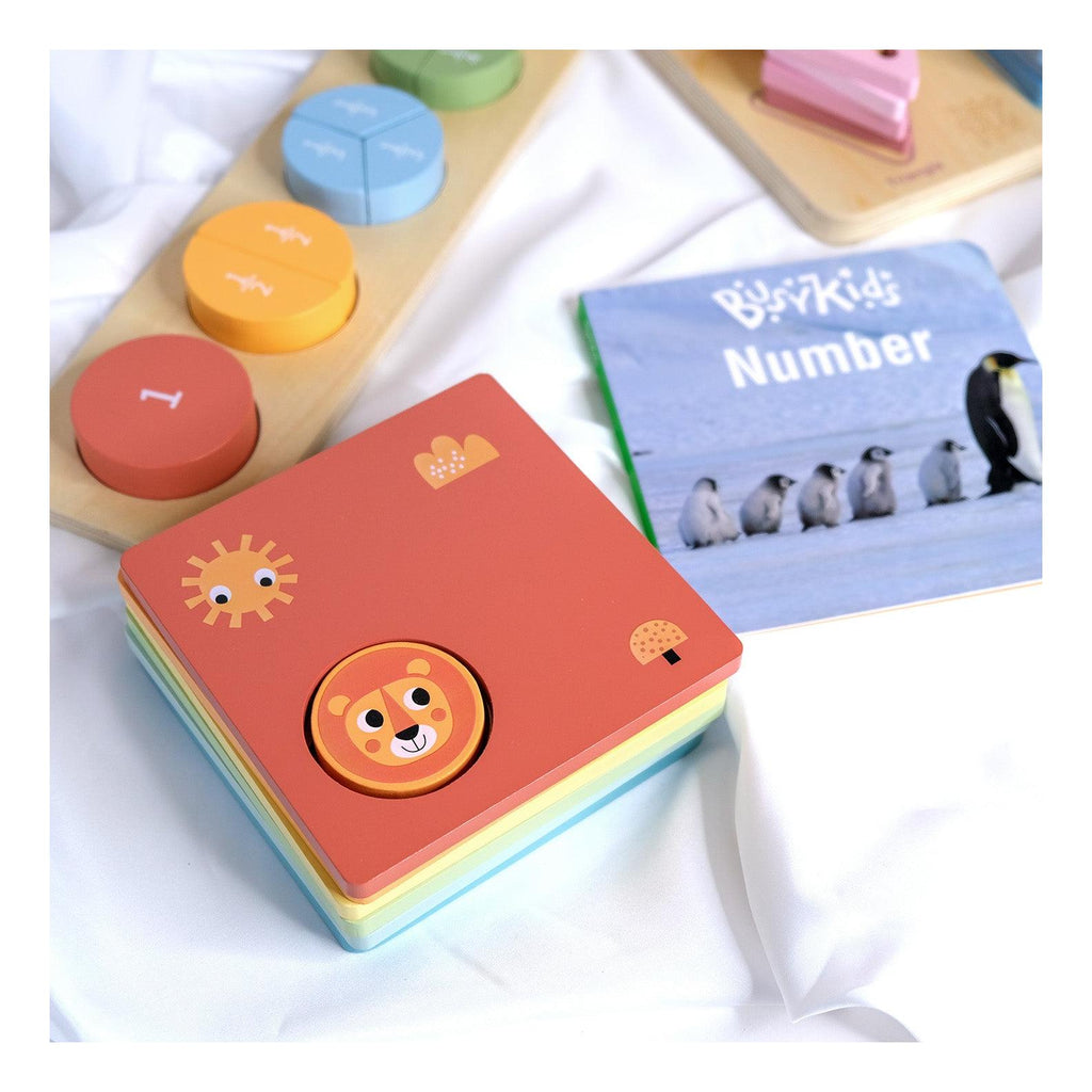 Set Montessori Estimulación 24 A 36 Meses