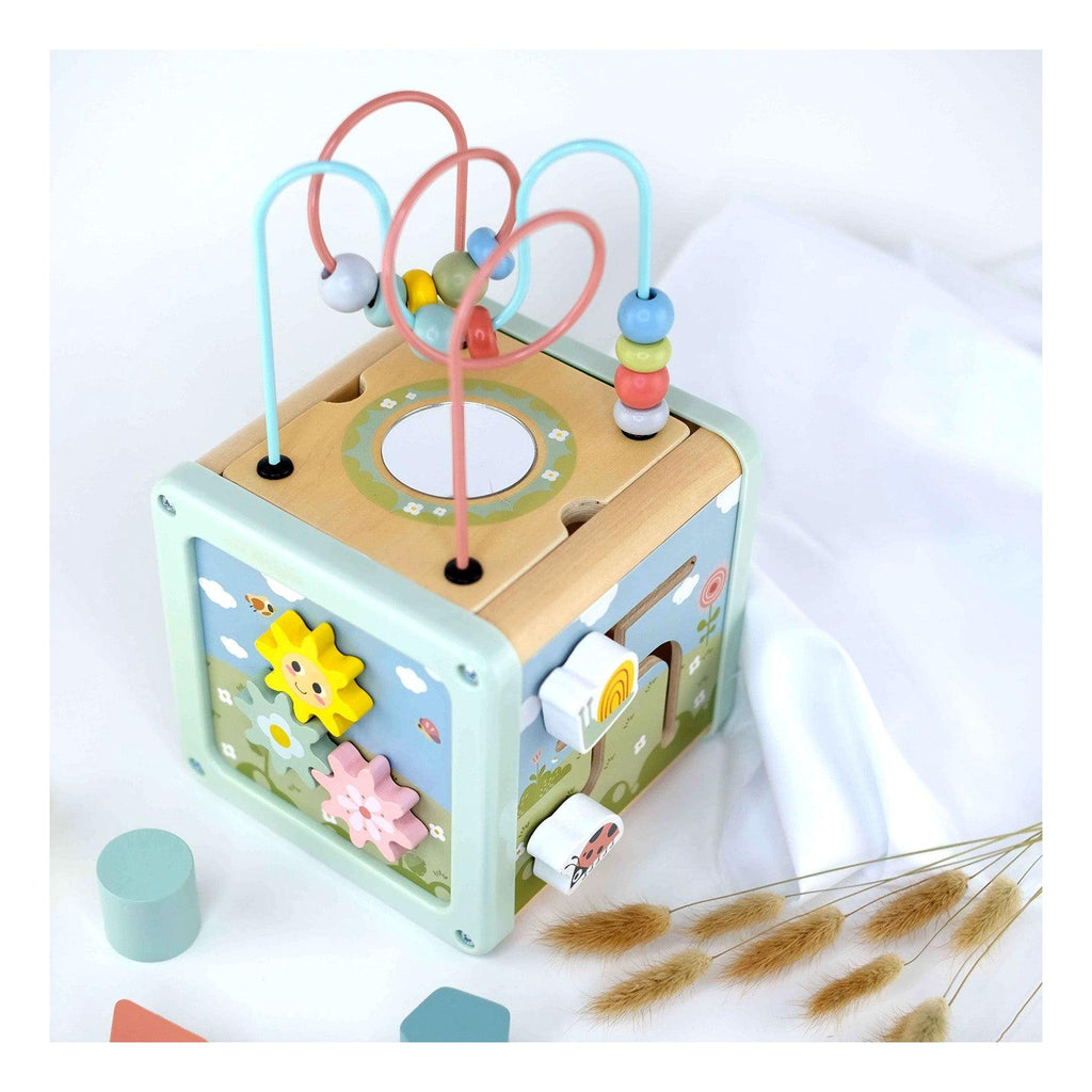 Multifunctional Educational Cube