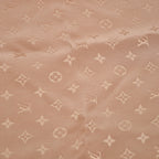 Louis Vuitton Monogram Scarf