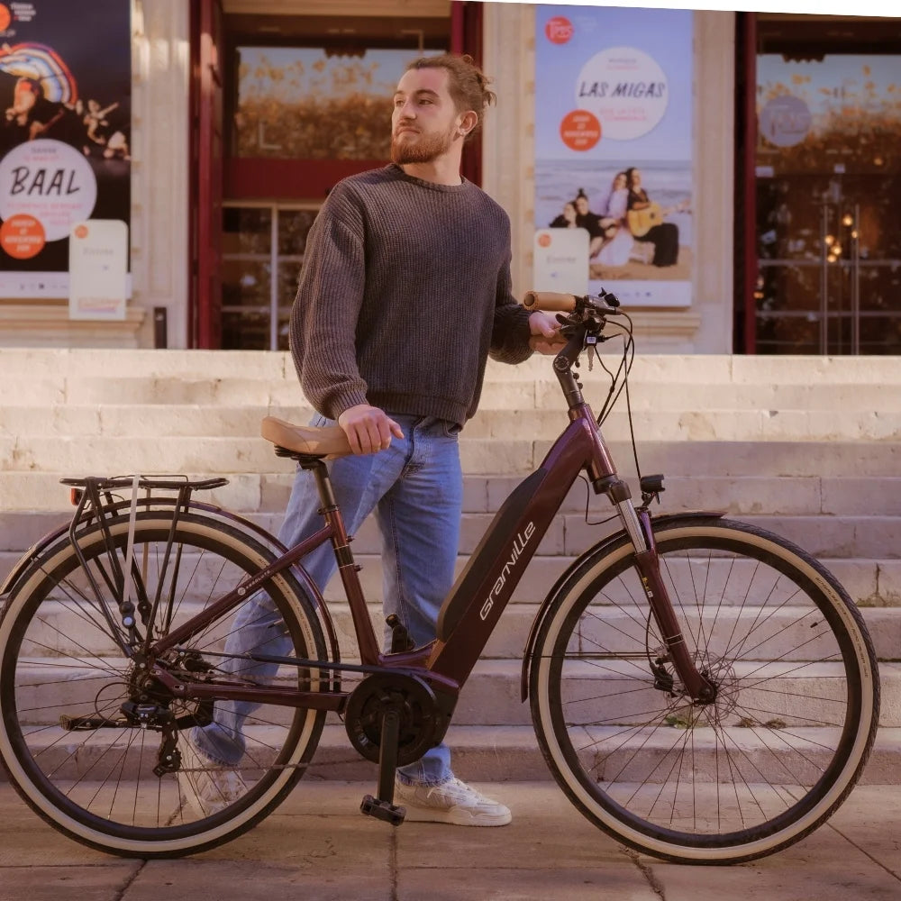 E-Absolute 34+ Active + 400W - Bordeaux