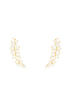 Orecchini "Fiori Scintillanti" in Oro Giallo 375/1000 e Zircone