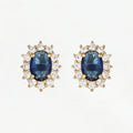 “Brela” Earrings in 375/1000 Yellow Gold and Sapphire