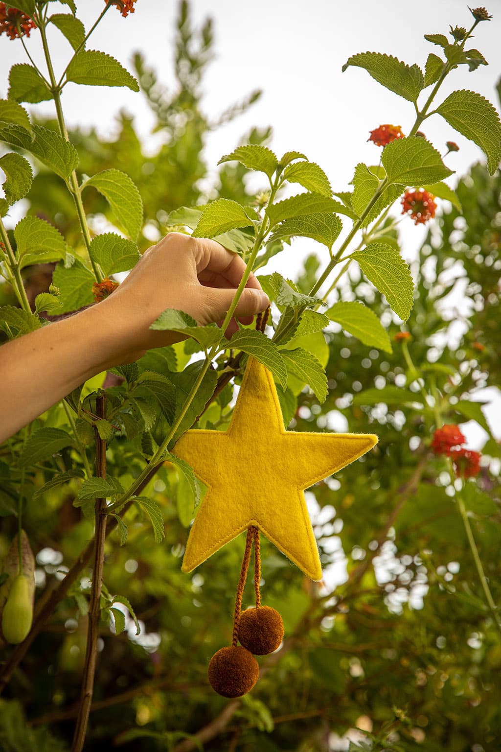 Pompom Stars - Lemon - Gold