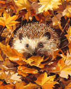 Pintura por números - Erizo entre las hojas de otoño