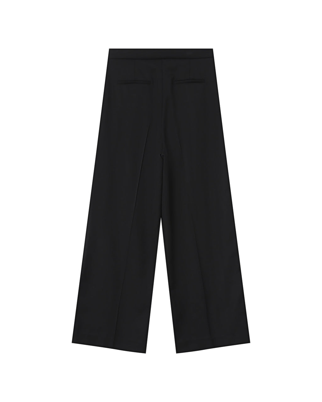 Pantalon Tailleur Noir Strokes