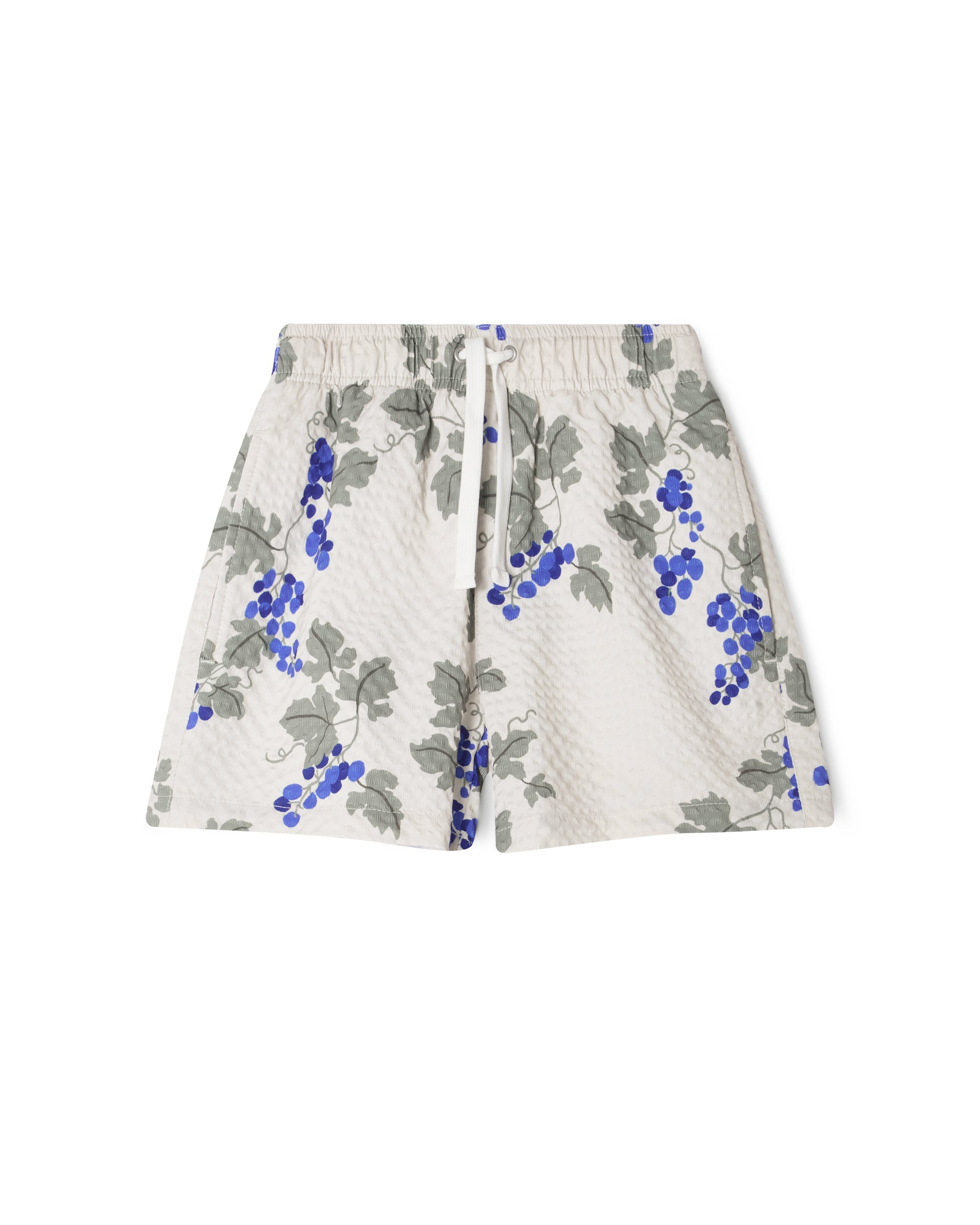Swim Shorts - Grape Blue