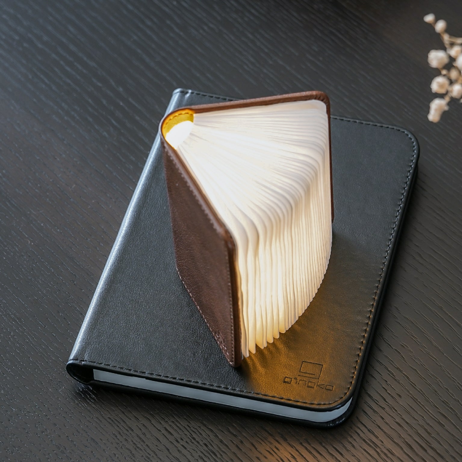 Lampe Smart Book LED - Cuir Marron - 2 Tailles