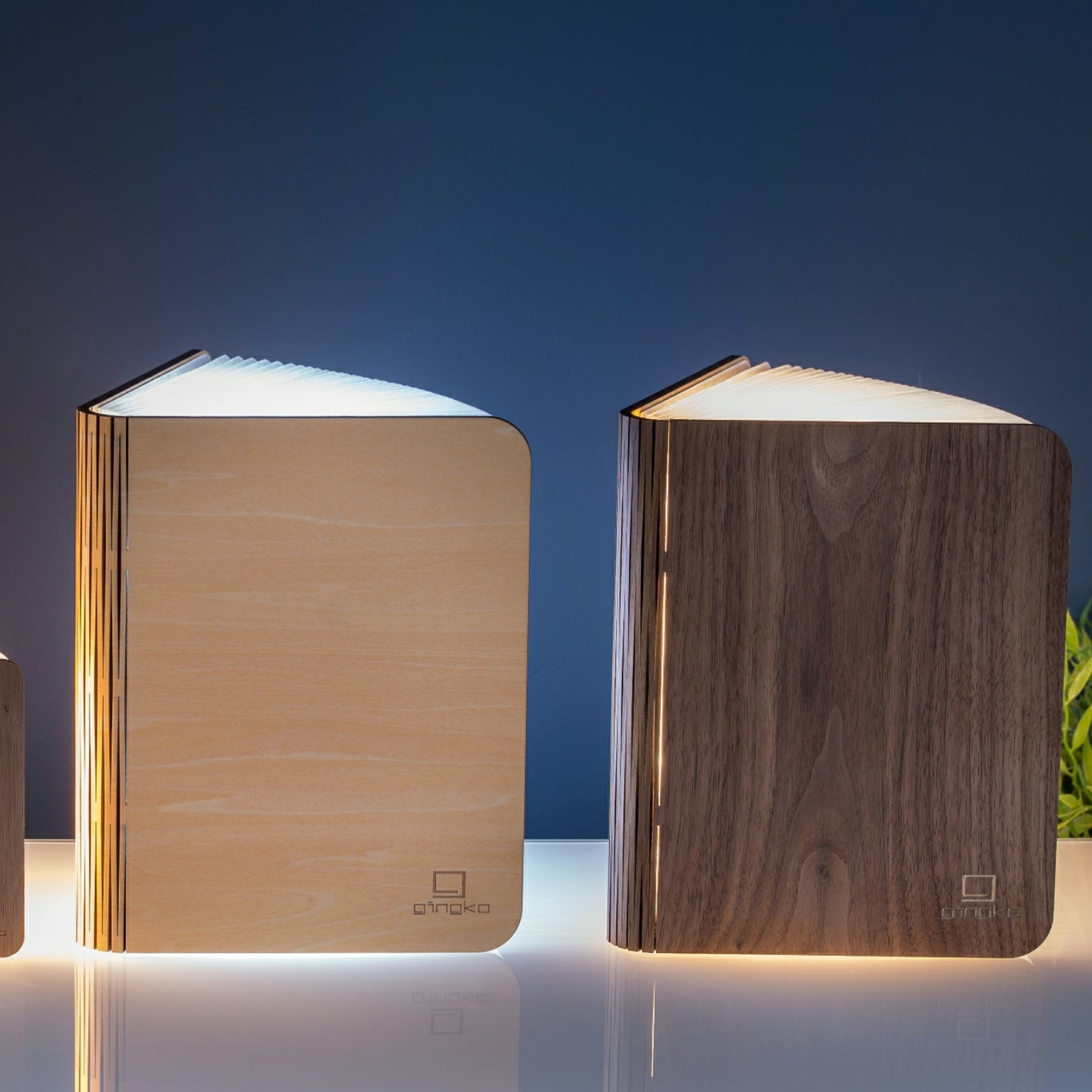 Lampe Smart Book LED - Noyer - 2 Tailles