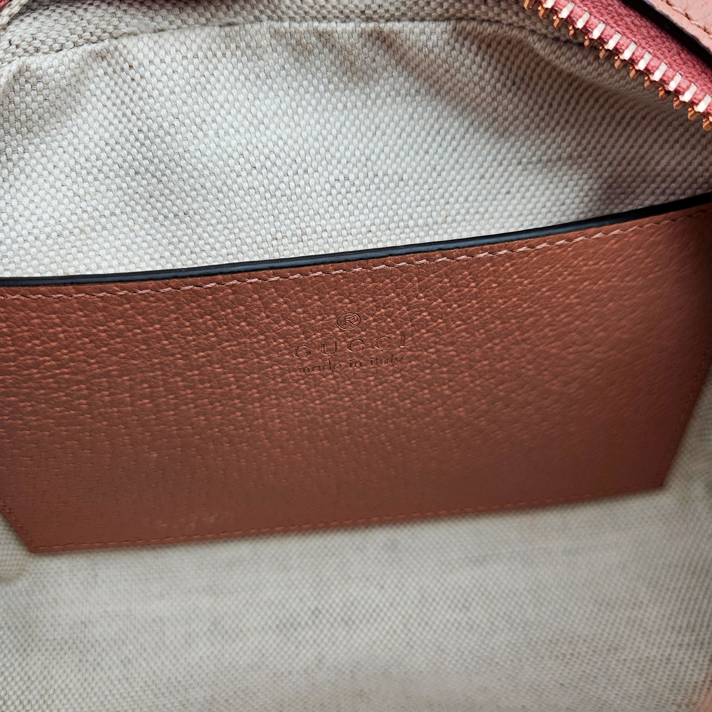 Gucci Ophidia Mini Crossbody