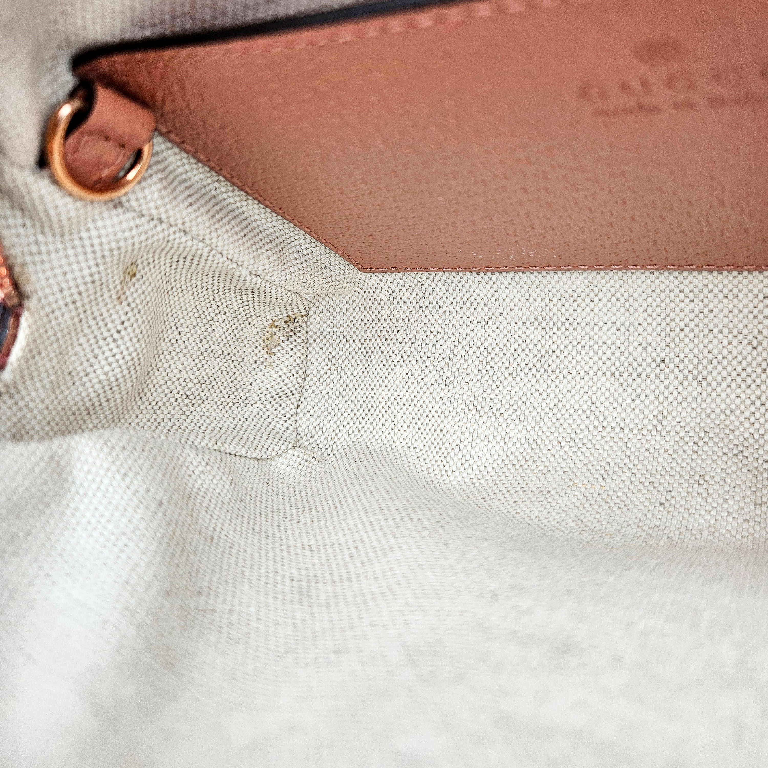 Gucci Ophidia Mini Crossbody