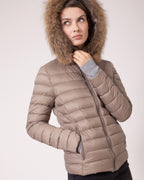 Removable collar_3