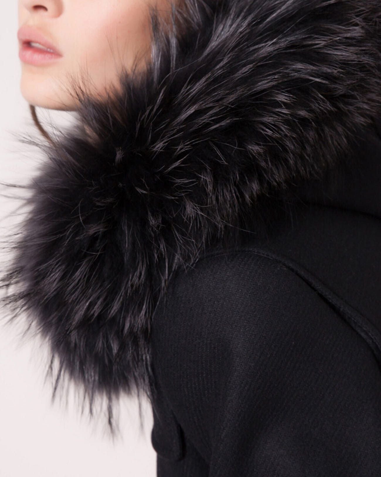 Removable collar_1